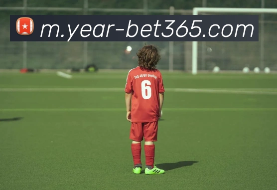 bet365平台生态图